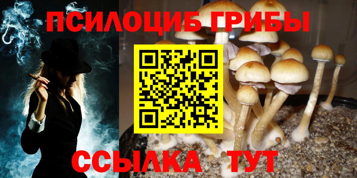 Иркутск  Галлюциногенные грибы Magic Shrooms  Вход с VPN 